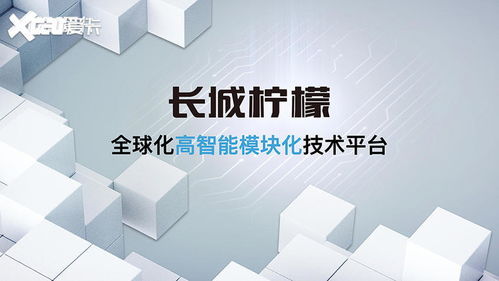 沒有大梁科技湊 哈弗大狗越野性能解析與新材料技術賦能